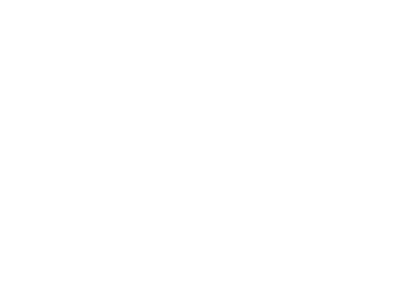 logo light